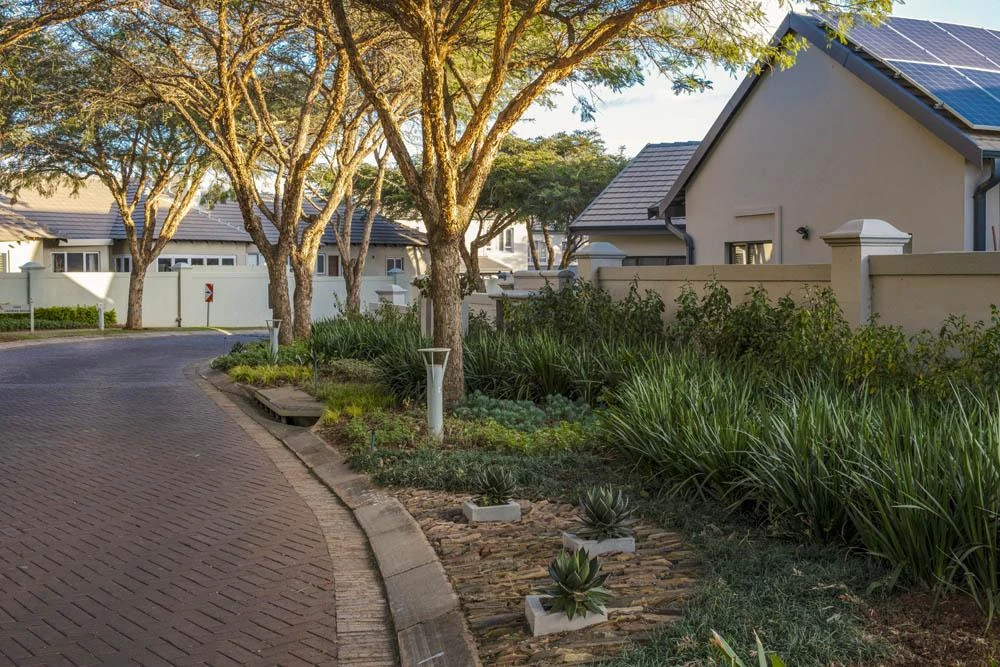 Modern landscape design and irrigation installation in Rivonia