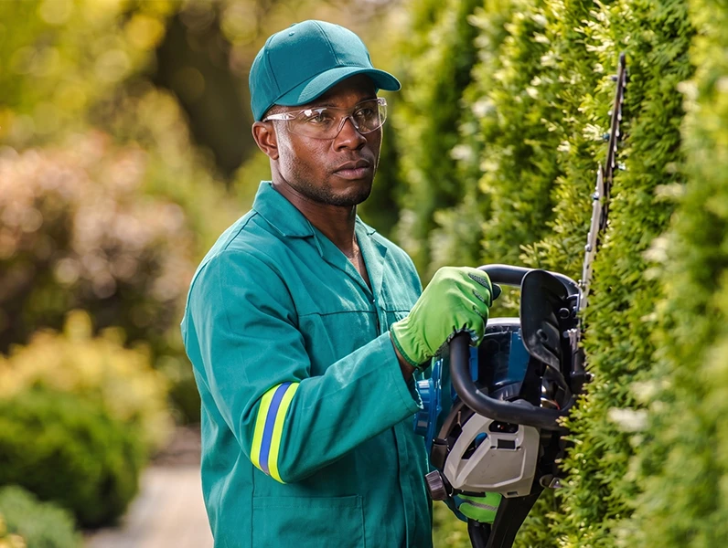 Estate landscaping